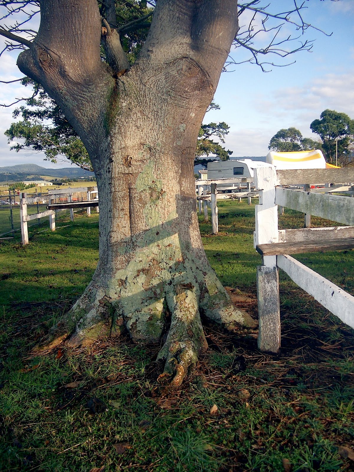 A Treasured Past Milton Swap Meet '10