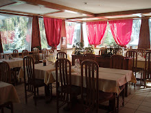 Restaurant et terrasse (vue sur la montagne)