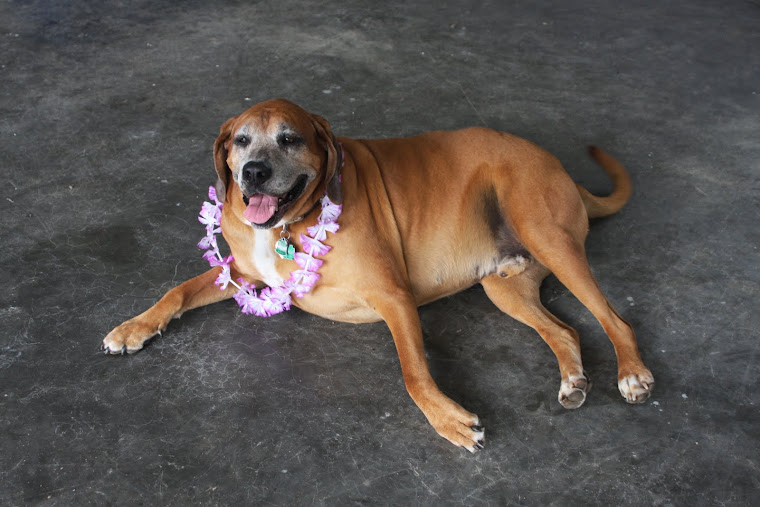 Beasley chillin' @ wedding