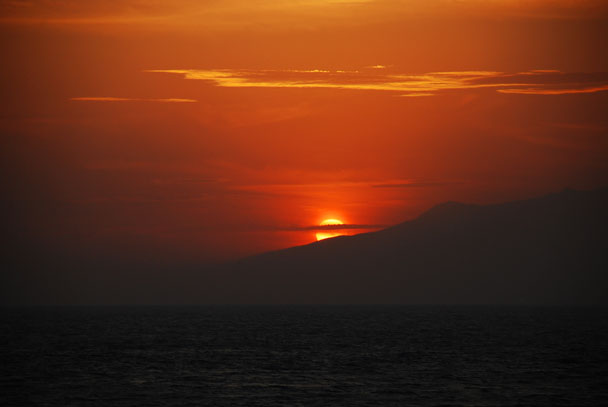 [DSC_3732.JPG]
