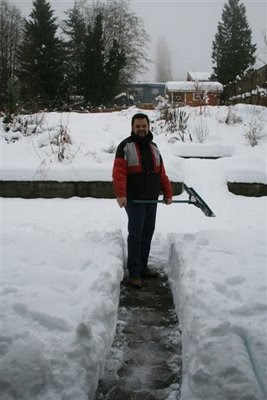 Clearing the snow on the deck