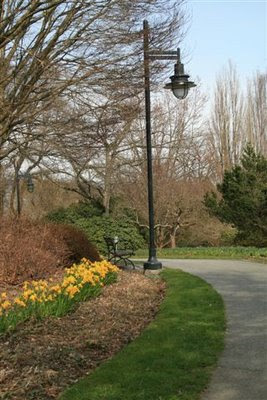 Daffodils and lamp stand
