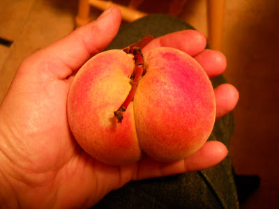 Pretty peach in hand