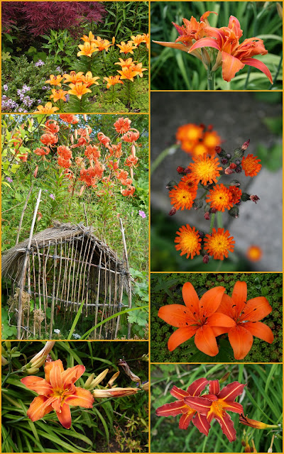 Orange flower mosaic