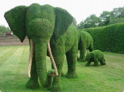 [elephant-grass-sculptures.jpg]