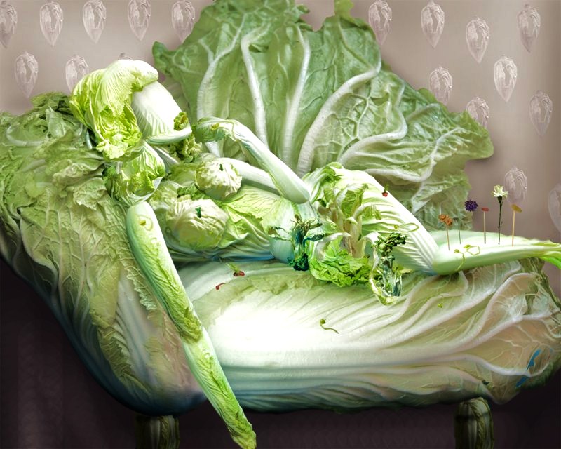 Ju Duoqi - The Fantasies Of Chinese Cabbage.