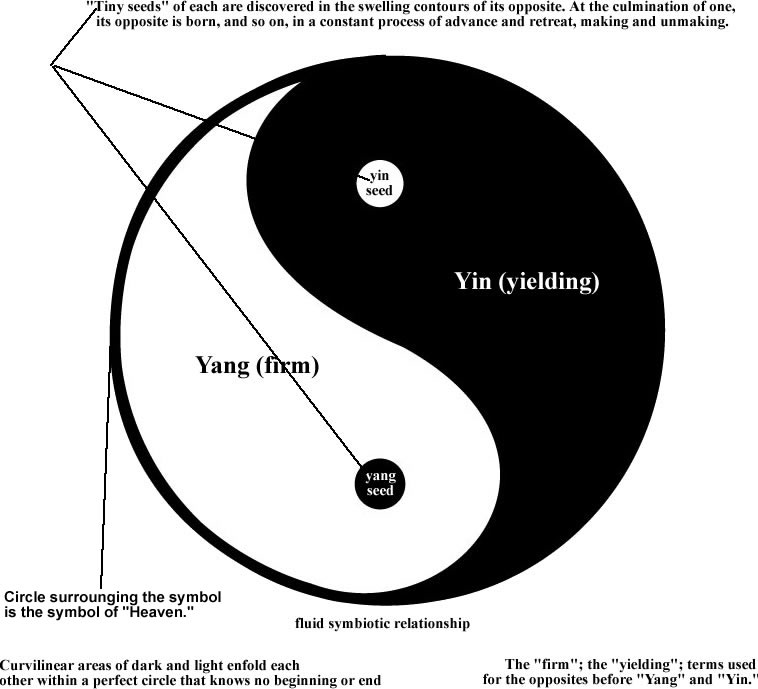 [yin-yang-correct-large.jpg]