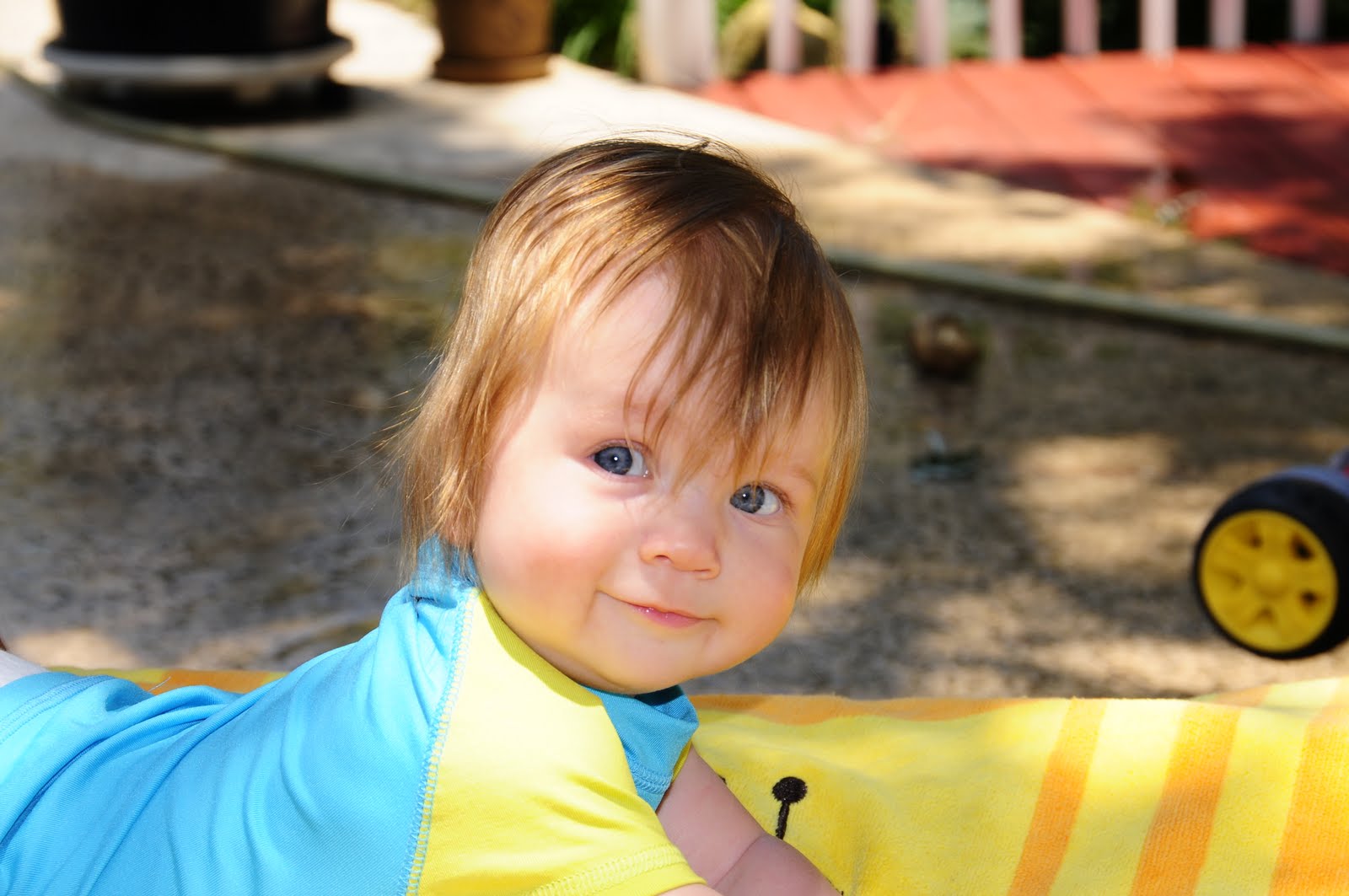 Ripley Anne Riegert