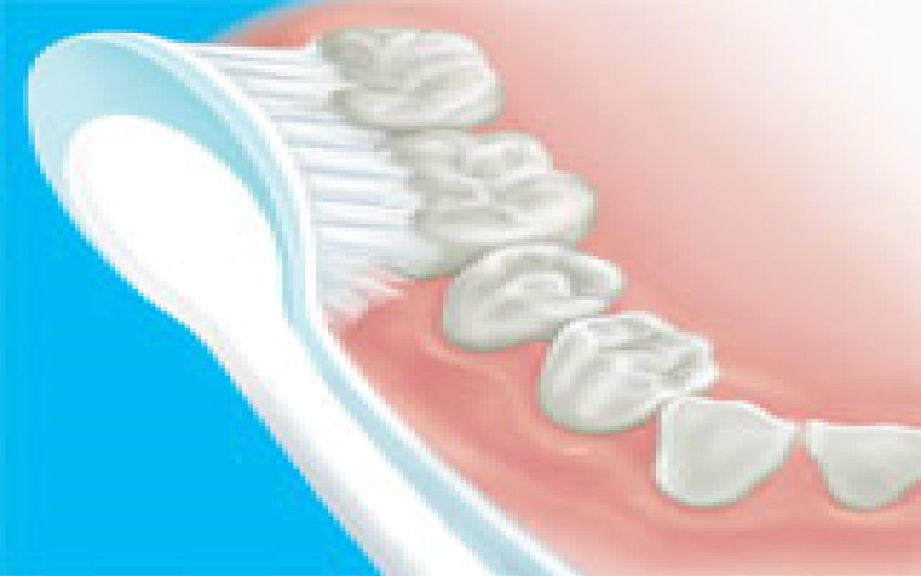 Indria-Dentist-News: Cara Menyikat Gigi yang Benar