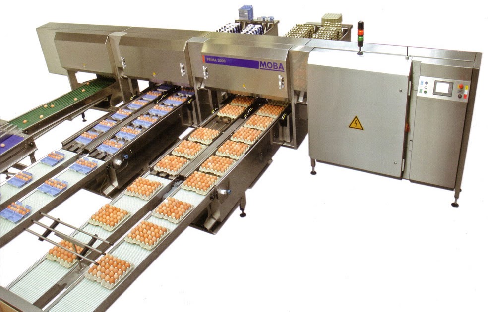 Moba xf 330 яйцесортировальная машина. Оборудование для сортировки по мешкам. Цех сортировки и упаковки яиц. Майский чай фрязино. Мосмедыньагропром медынь.