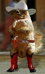 Cowboy Squirrel