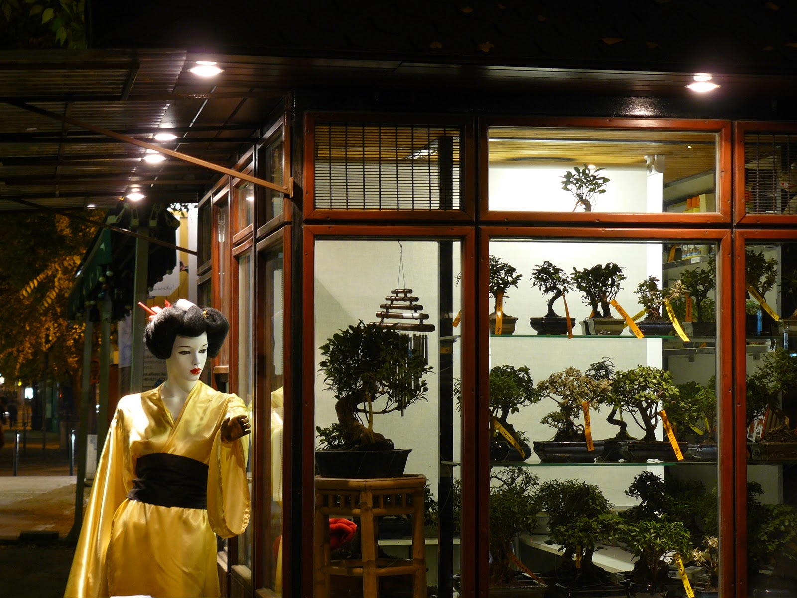 BONSAI MAGAZIN HUNGARY Bonsai Bolt Budapesten