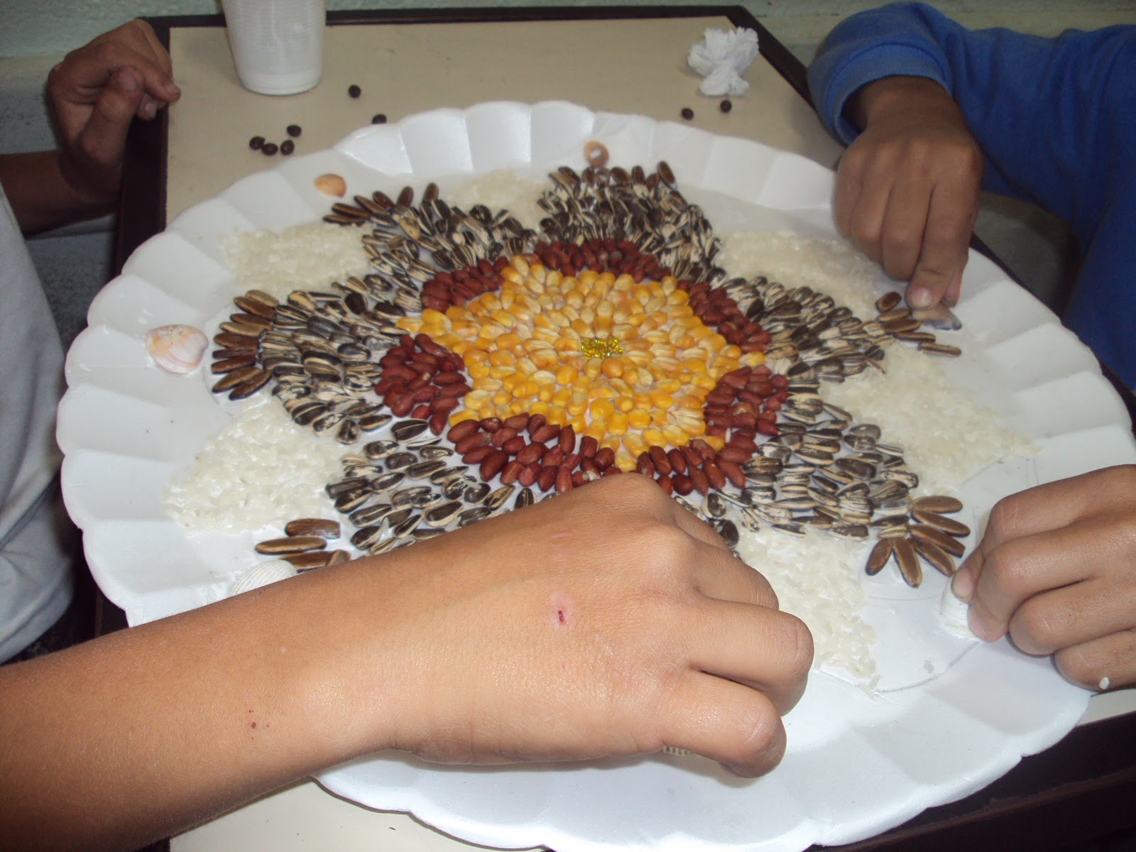 RECICLANDO COM ARTE: MANDALA COM SEMENTES