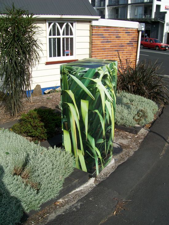 [100_2052+resized.JPG]