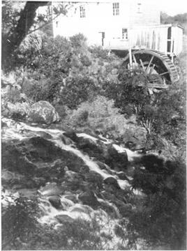 [Waiuku+Mill+2a.jpg]