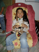 Britax Car Seat Wonderful