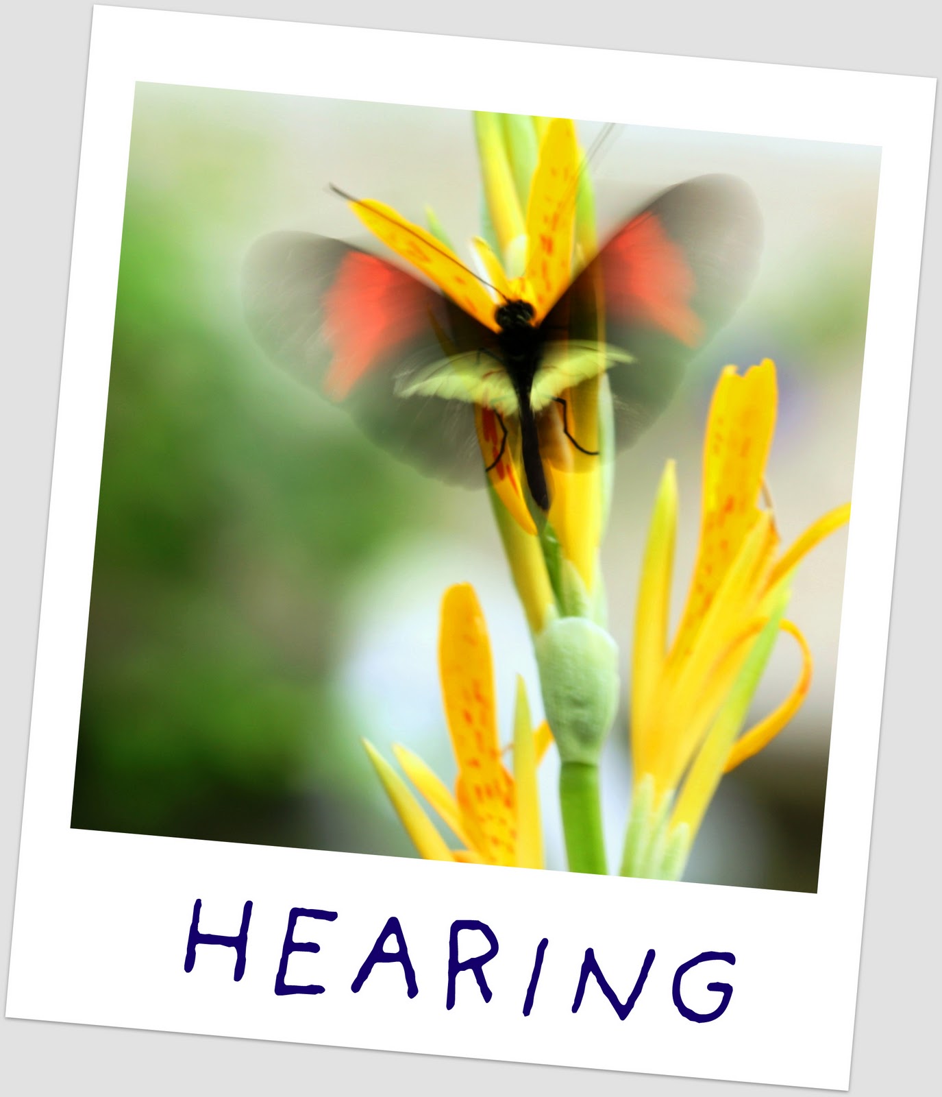 Silver Linings 4 ME WEEKWORD = SENSES...