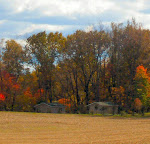 Cabins up in the woods