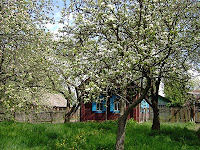 Как красиво описать фотографию природы. yabloni. Как красиво описать фотографию природы фото. Как красиво описать фотографию природы-yabloni. картинка Как красиво описать фотографию природы. картинка yabloni