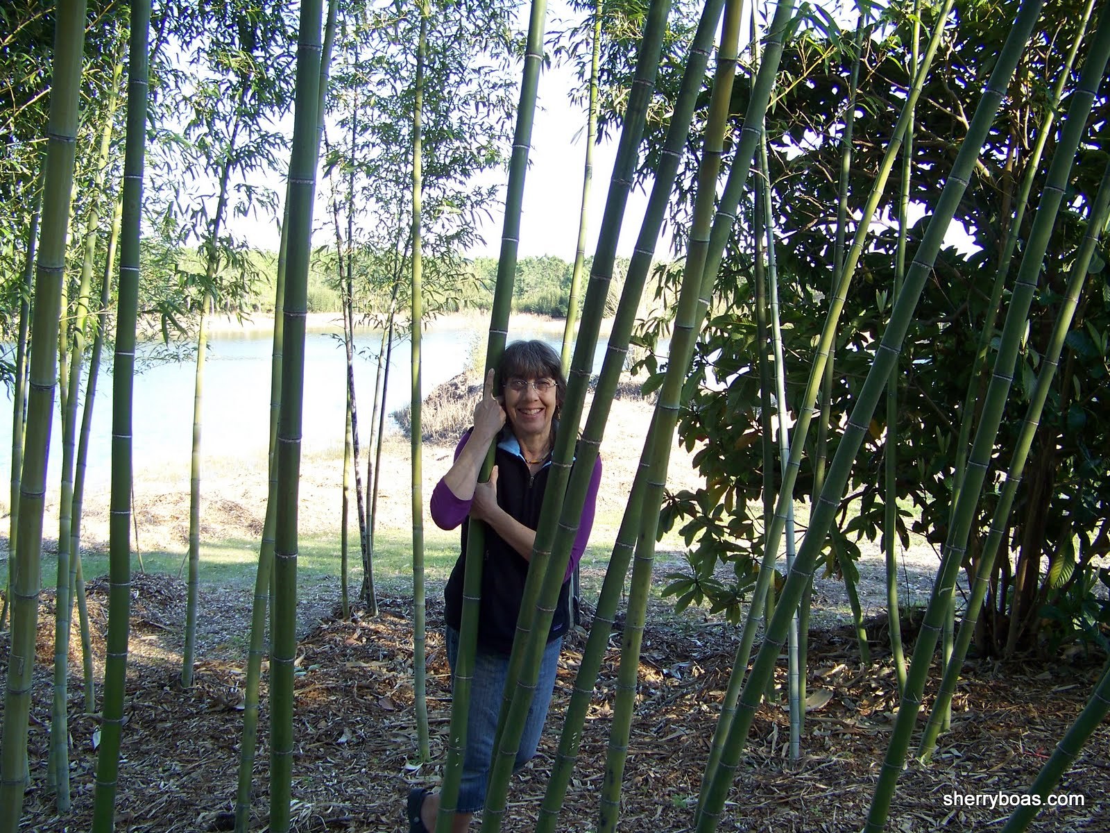 [me+in+vivax+grove+001.jpg]