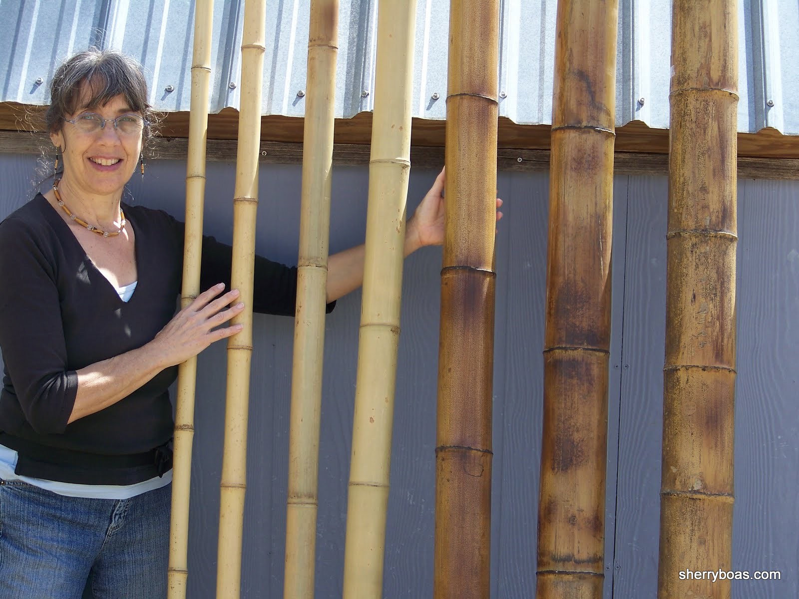 [imported+poles+007.jpg]