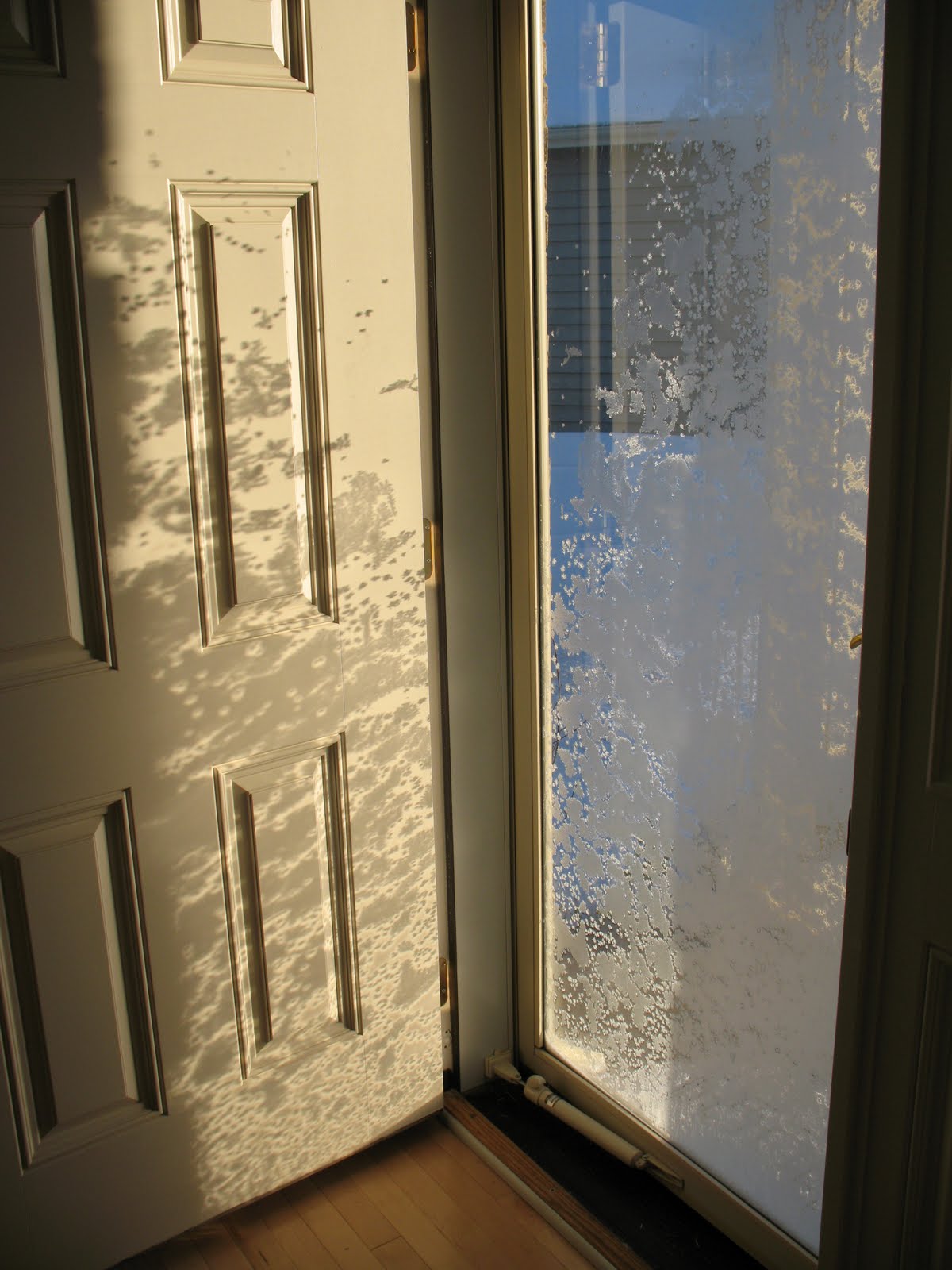 [Frost+pattern+on+door.jpg]