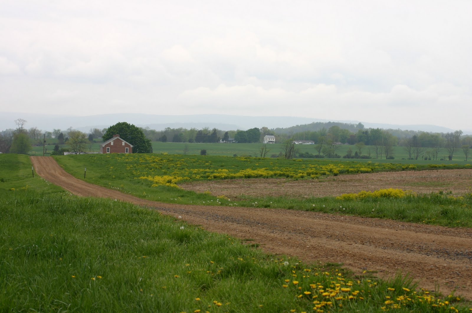 More Yarn for Me!: Gettysburg in Spring: Photographs of Nature, Roads ...