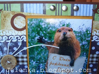 С днем рождения бобер картинки прикольные