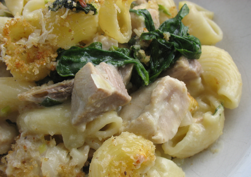 The Hungry Dog: November 2010