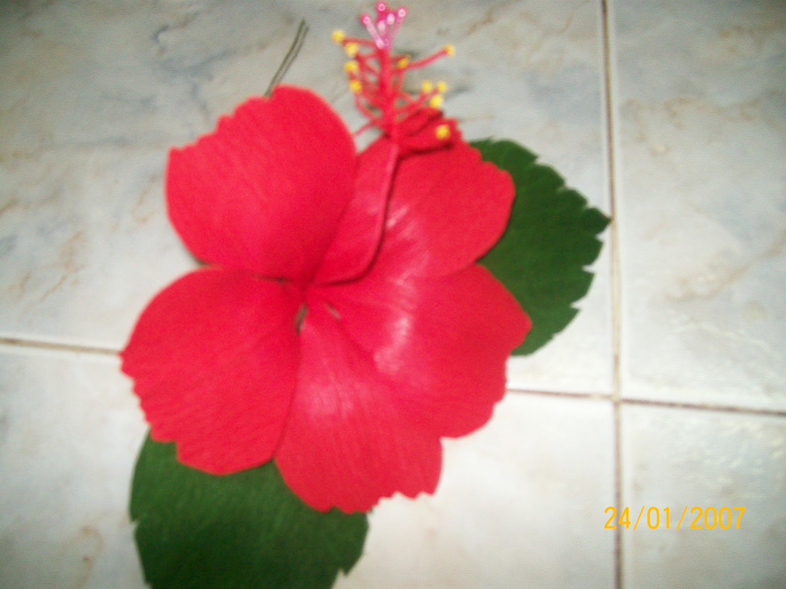 Essay on shoe flower picture