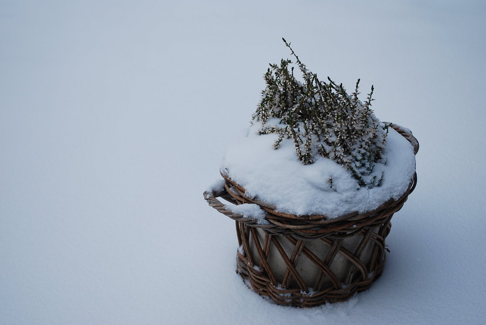 [tammikuu2008+011.JPG]