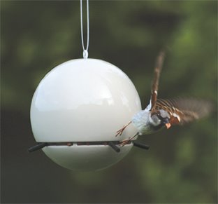 [white+birdball+peanut+feeder+greenblue.jpg]