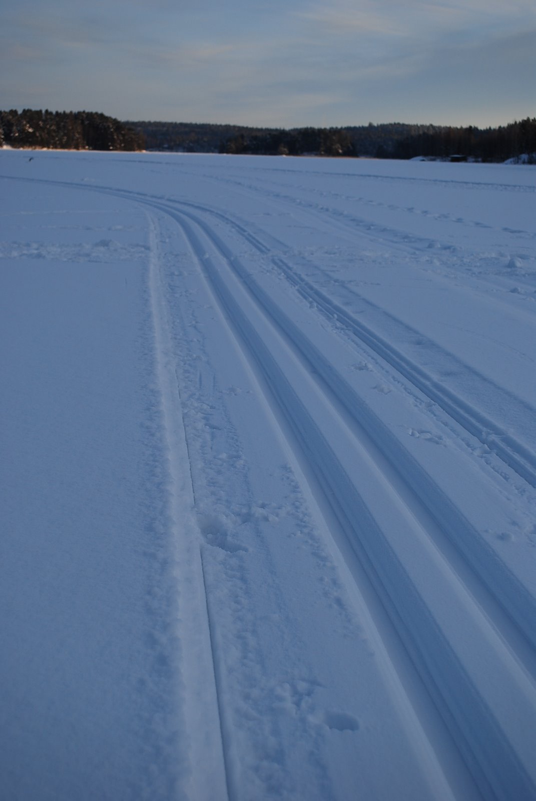 [TAMMIKUU09+026.JPG]