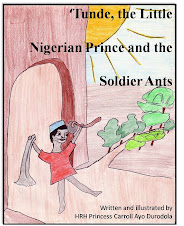 Cover, Tunde and the Soldier Ants the e-book