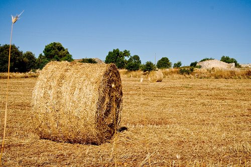 [828077212_9de1b0108d.jpg]