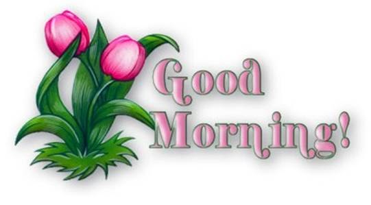 Collection of forward mails,fun mails,timepass mails,good morning mails...