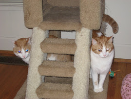 Cosmo and Astro