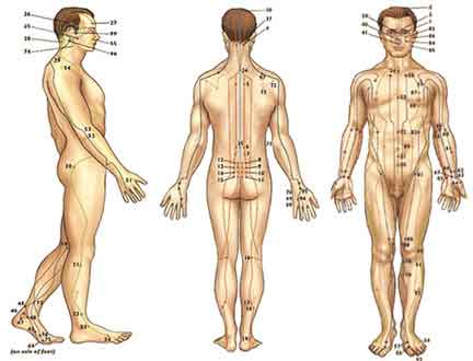 Meridianos da Acupunctura