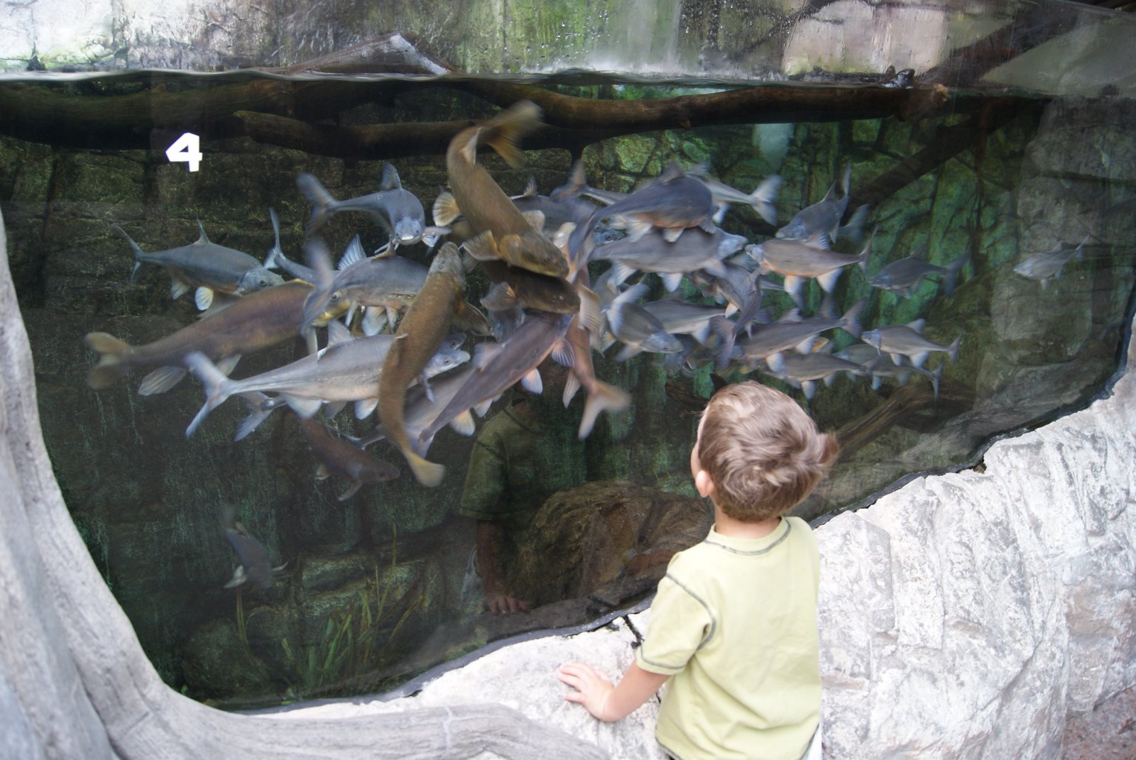 The Pless People Our visit to the Denver Aquarium