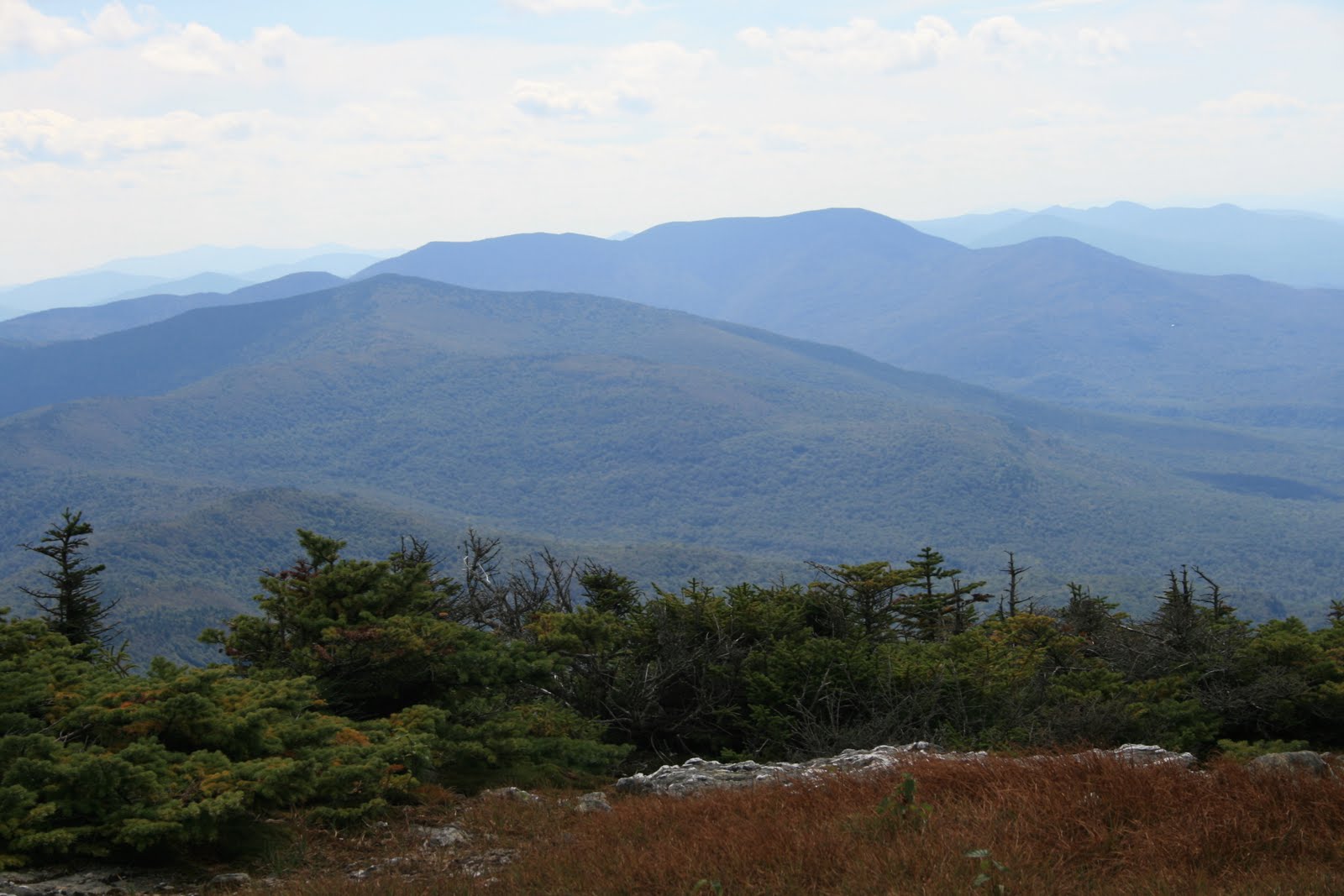 Spicebush Log Hiking in the Champlain Valley
