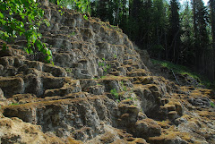 Tufa (minerals dissolved by hot springs and deposited as stone on surface)