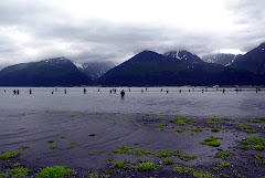 Everyone Trying to Snag the Salmon in Seward