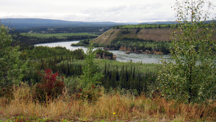 Passing the Yukon River on Our Way to Whitehorse, Alaska