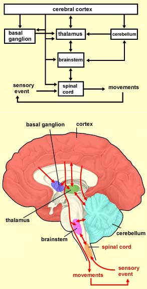 [i_06_cr_mou_4a.jpg]