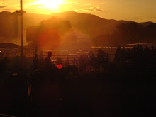 Plymouth Rodeo