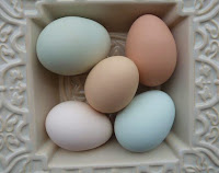 kitchen tip: eggs