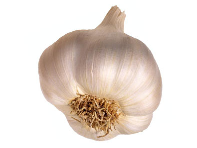 garlic