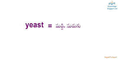 Know Telugu : English Telugu Dictionary: Yeast