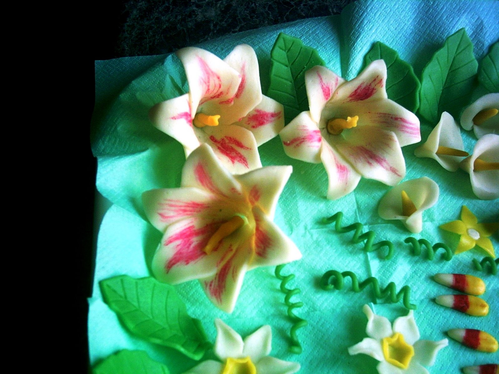 [PICT0105.JPG]