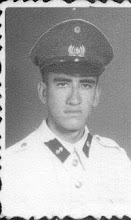 BRAULIO BRAVO LETELIER